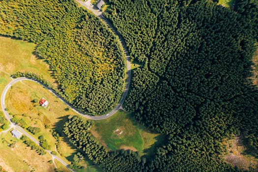 Jak získat dotace pro nové podnikatele v ČR: Kompletní průvodce