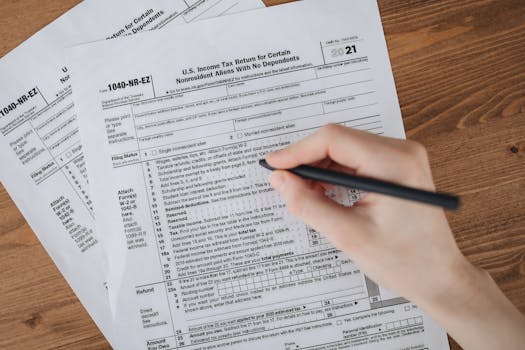 Daňové Povinnosti pro Zahraniční Podnikatele v ČR v 2024