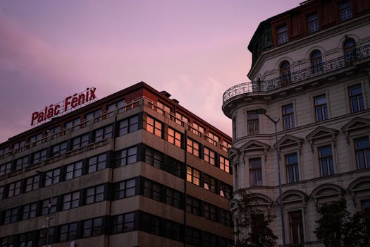 Kompletní průvodce: Jak získat dotace pro nové podnikatele v ČR